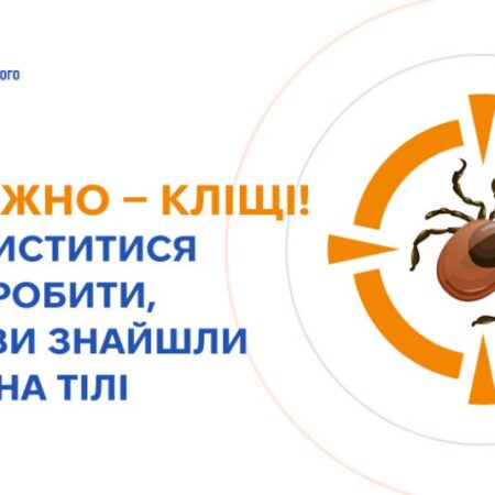 Обережно — кліщі! Як захиститися та що робити, якщо помітили на собі кліща